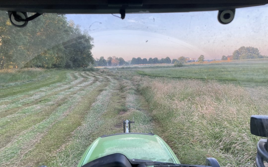 Wat genieten s’morgens vroeg. Mooi weer, vroeg maaien, en de eerste snede is alweer in ronde balen gemaakt